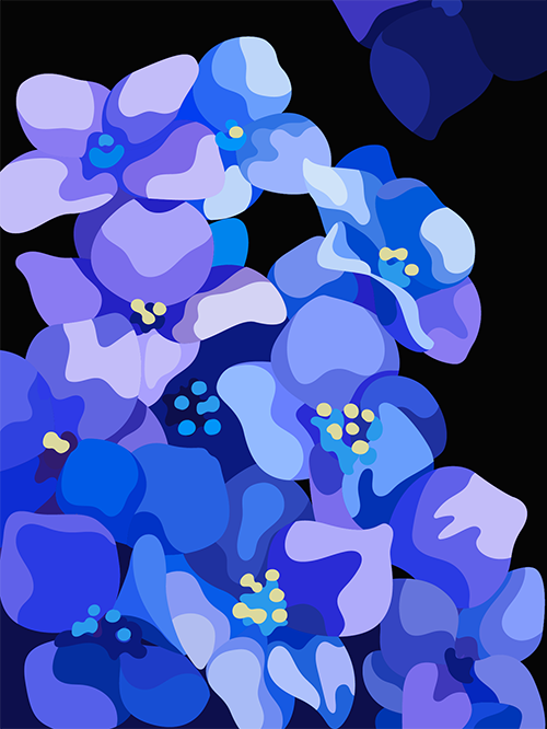 Blue Hydrangea by Martina Schubhart